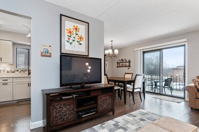 1251 Chalet Rd unit 200, Naperville, IL 60563 - photo 5