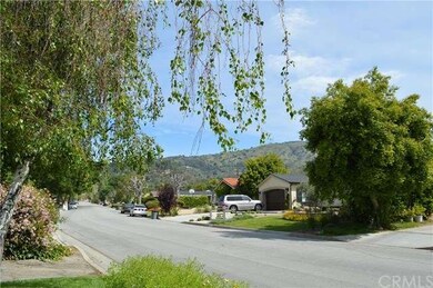 Street & hillside view from front yard