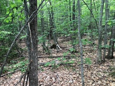 00 Skytop Dr, Newbury, NH 03255 - photo 3