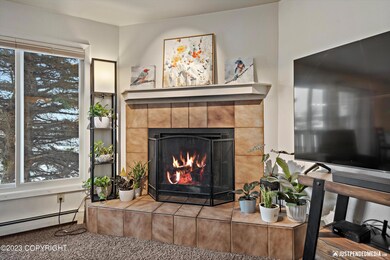 Wood Burning Fireplace