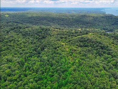 0 Shores Trail unit RTC3000408, Stewart, TN 37175 - photo 6