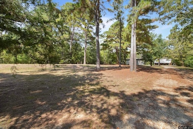 9015 F M 349, Longview, TX 75703 - photo 4