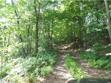 250 Depot St, Rumney, NH 03266 - photo 6