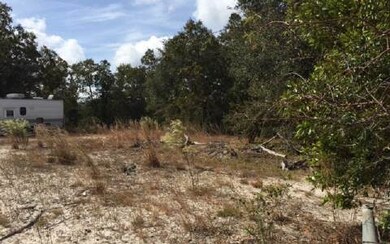 1599 125th Ln, Branford, FL 32008 - photo 4