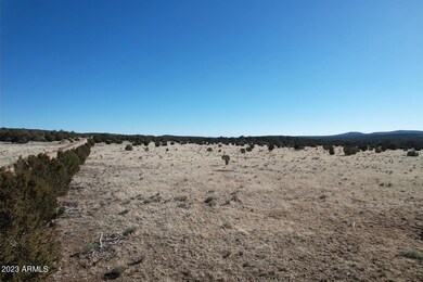 53770 N Via de Oro Pkwy unit 1486, Seligman, AZ 86337 - photo 6