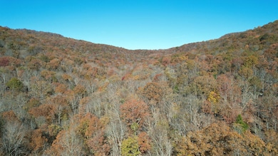 00 Sharps Cove Rd, New Market, AL 35761 - photo 7