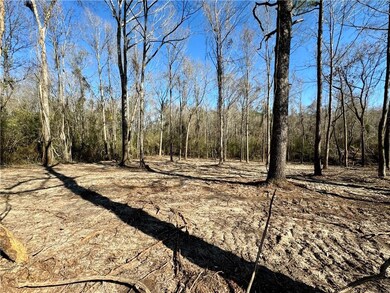 4 Acres Rob Thomas Rd, Franklinton, LA 70438 - photo 5