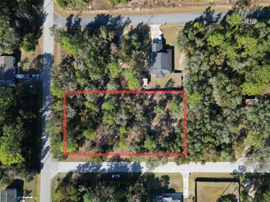 3015 E May St, Inverness Highlands North, FL 34453 - photo 3