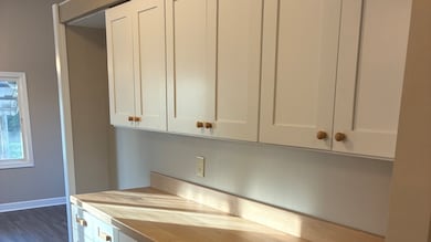 315 E Corning Rd, Beecher, IL 60401 - photo 6