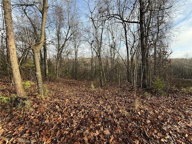 0 Dogwood Dr unit 1329838, Omaha, AR 72662 - photo 3