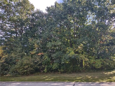 585 Hardwick Dr, Aurora, OH 44202 - photo 3