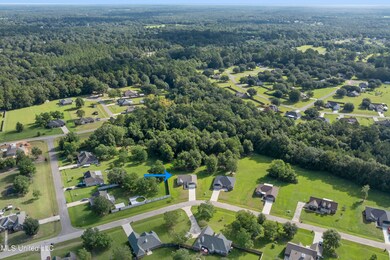 43 Mojave Ln, Picayune, MS 39466 - photo 3