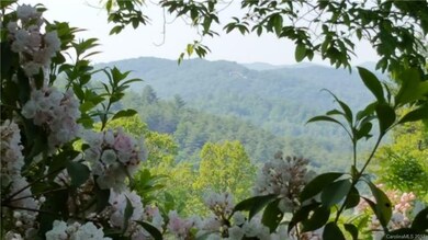 Peek at your Mountain Views throughout your abunda