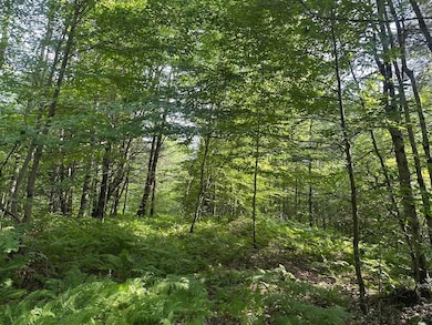 00 Vt Route 103 N, Chester, VT 05143 - photo 5