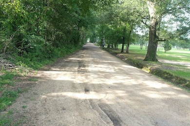 La 412 Overton Rd unit LotWP002, Slaughter, LA 70777 - photo 3