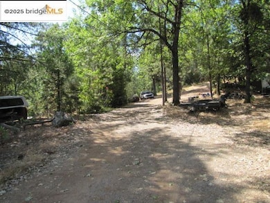 View of dirt / gravel road