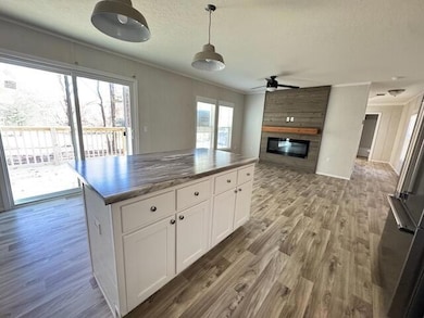 1303 Mitchell Cir, Summerville, GA 30747 - photo 5