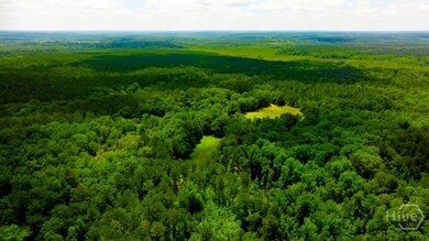 unlisted-address, Sandersville, GA 31087 - photo 7