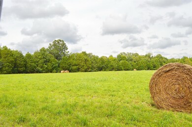 Hunt Deer, turkey, cut Hay