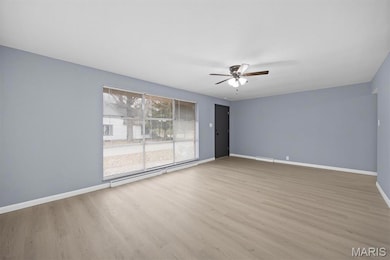 220 E 8th St, Marissa, IL 62257 - photo 3