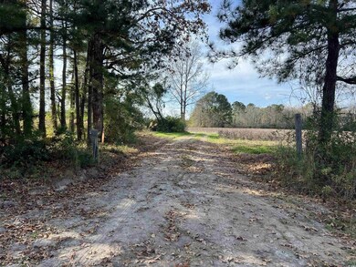 0 Easler Hwy unit 25756516, Greeleyville, SC 29056 - photo 3