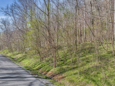 0 Lake View Dr unit RTC2807964, Smithville, TN 37166 - photo 6