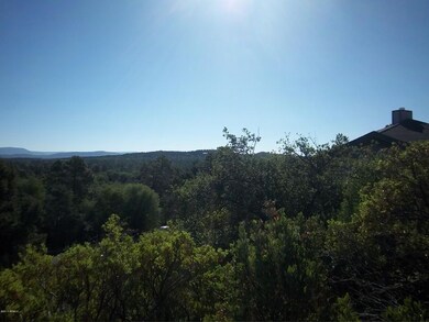 717 W Forest Dr unit 463, Payson, AZ 85541 - photo 4