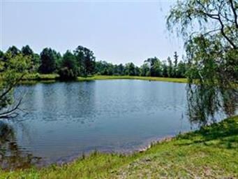 Huge Stocked pond!