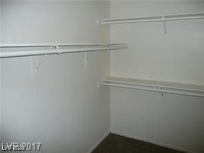 View of walk in closet