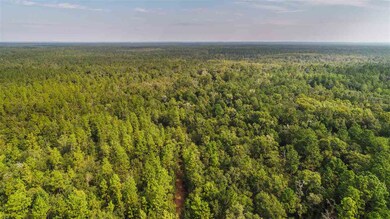 0 Wakulla Springs Hwy, Crawfordville, FL 32327 - photo 5