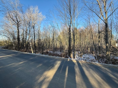 Lot 010 Hope Rd, Newport, ME 04250 - photo 5