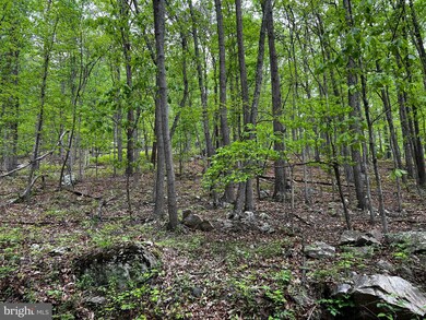 0 Dumpling Run Rd unit WVHD102062, Moorefield, WV 26836 - photo 5