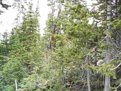 Picture of Neighboring Lot