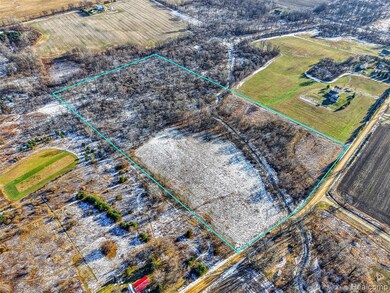 10525 Godfrey Rd, Bancroft, MI 48414 - photo 6