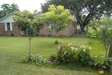 917 Heisse St, Alvin, TX 77511 - photo 3