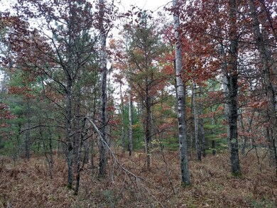 IMG_20161028_172954