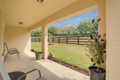 30430 Lipizzan Terrace, Mount Dora, FL 32757 - photo 7