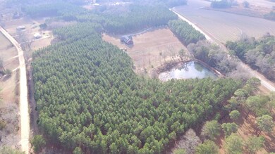 Ariel View