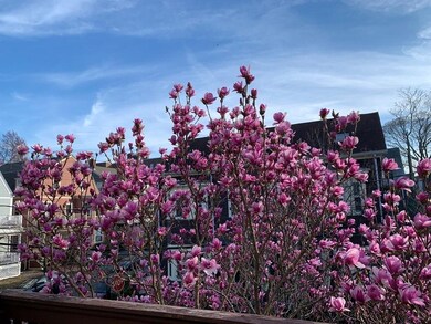 3 Greenough Ave unit 2, Cambridge, MA 02139 - photo 5