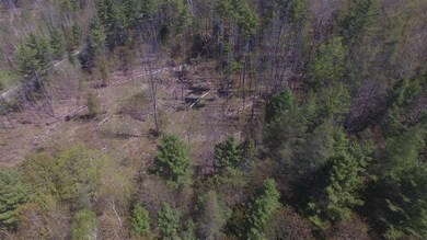 3 Old Bradley Rd unit 3, Saint Johnsbury, VT 05819 - photo 2