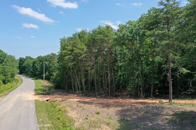 1901 New Era Ridge Rd, Linden, TN 37096 - photo 5