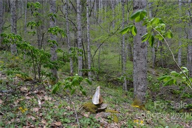 n/a Bald Mountain Rd, Burnsville, NC 28714 - photo 2