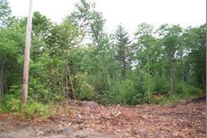 0 Spur Rd unit 1441694, Cornish, ME 04020 - photo 3