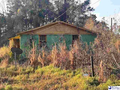 4420 Hollyberry Ln, Florence, SC 29501 - photo 3