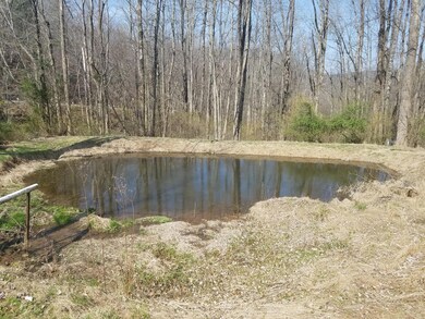 129 Coffeytown Rd, Vesuvius, VA 24483 - photo 4