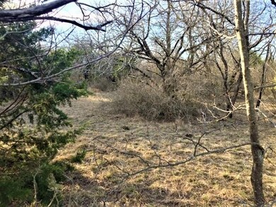 L11BA Floyd Ct, Weatherford, TX 76087 - photo 4