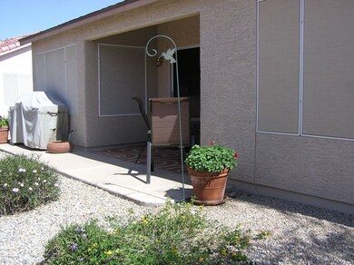 Back Patio