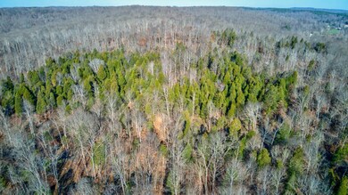 0 Lancaster Rd, Branchville, IN 47514 - photo 6