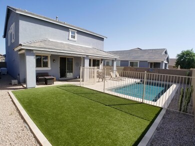 4 - Backyard