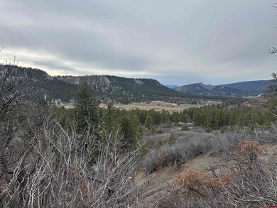 248 Jennifer's Place, Pagosa Springs, CO 81147 - photo 7